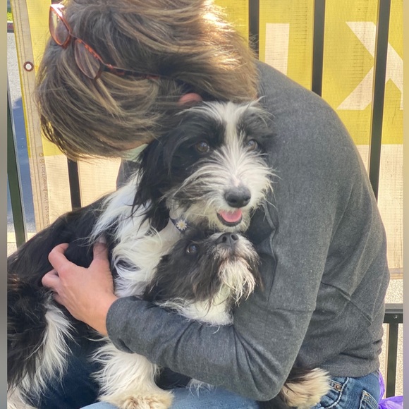 Meet your Posher, Terry - Picture 3 of 5